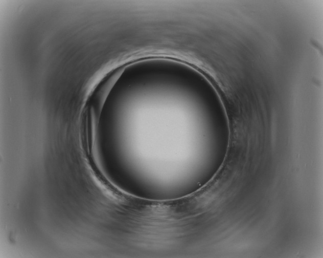 X0000098201511200804241240