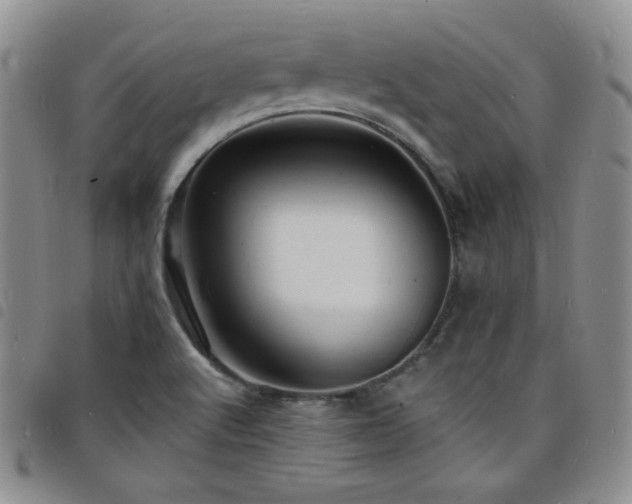 X0000098201512200804241240