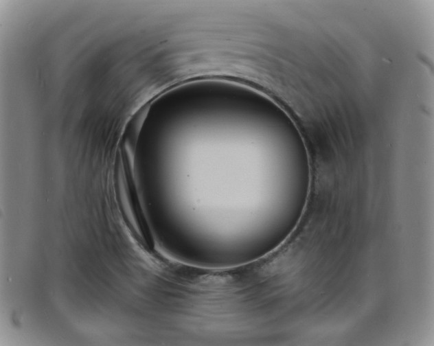 X0000098201513200804241240
