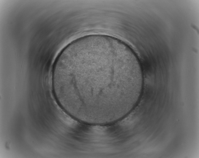 X0000098201514200804241240