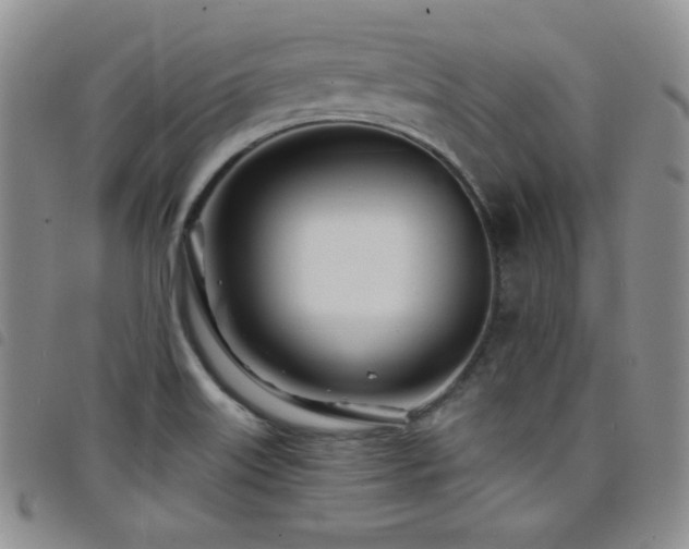 X0000098201515200804241240