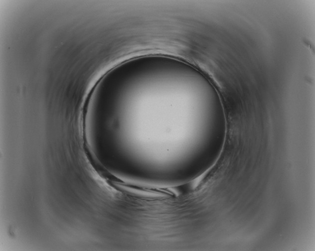X0000098201516200804241240