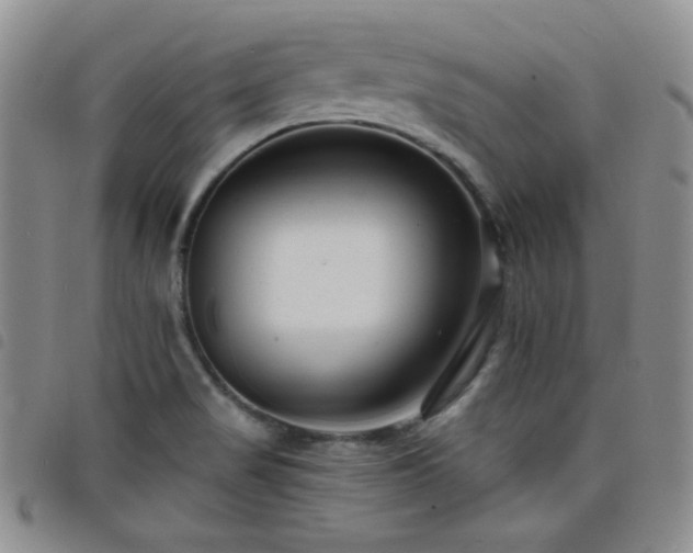 X0000098201517200804241240