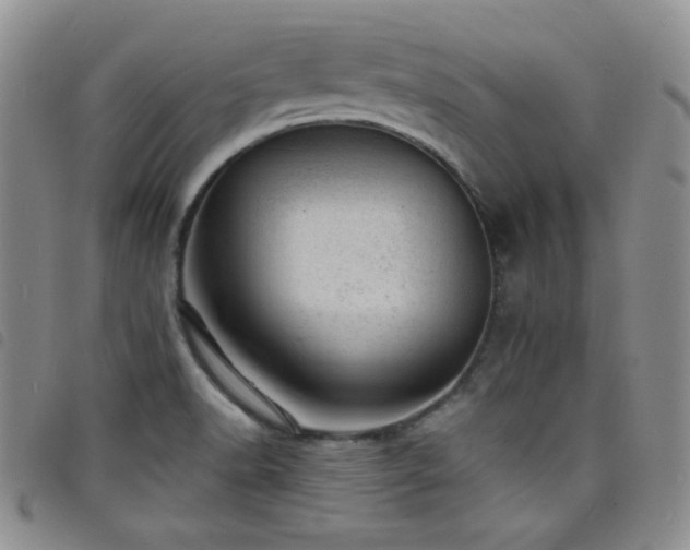 X0000098201518200804241240