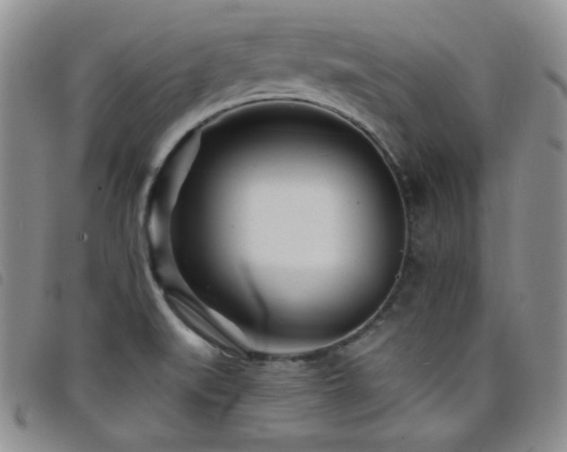 X0000098201519200804241240