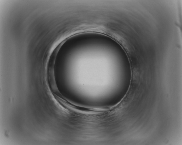 X0000098201520200804241240