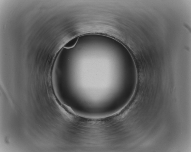 X0000098201521200804241240