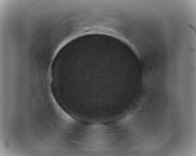 X0000098201522200804241240