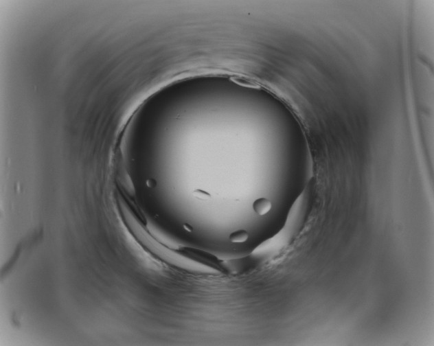 X0000098201524200804241240