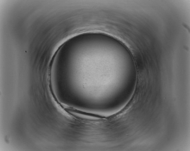 X0000098201526200804241240