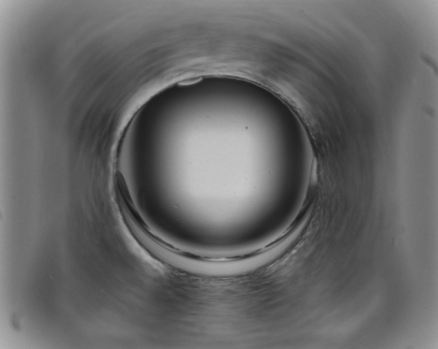 X0000098201528200804241240