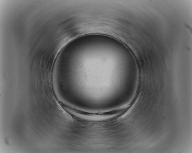 X0000098201529200804241240