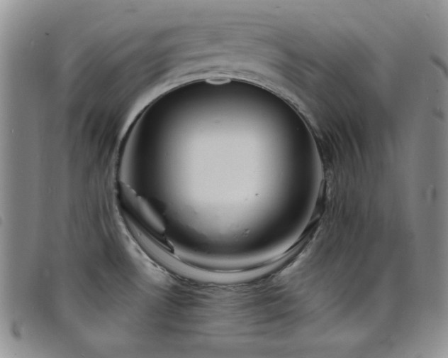X0000098201530200804241240