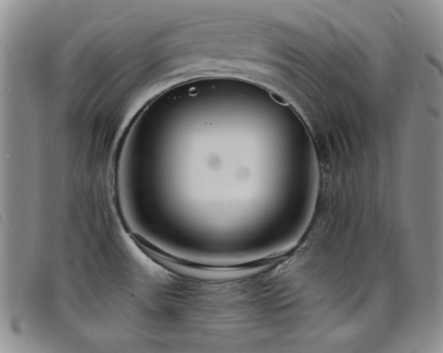 X0000098201531200804241241