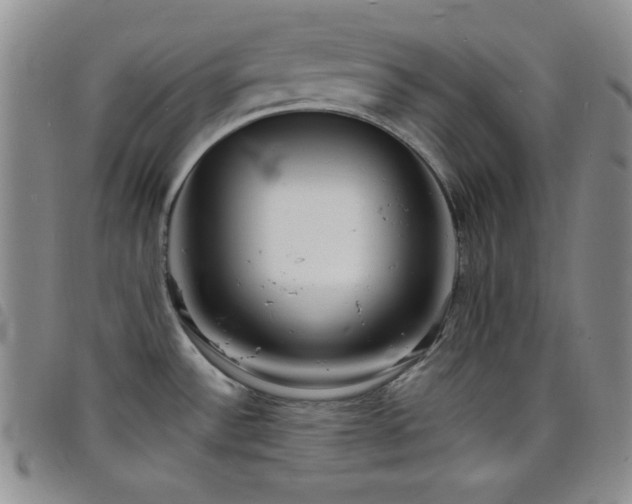 X0000098201532200804241241