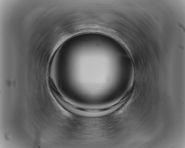 X0000098201533200804241241