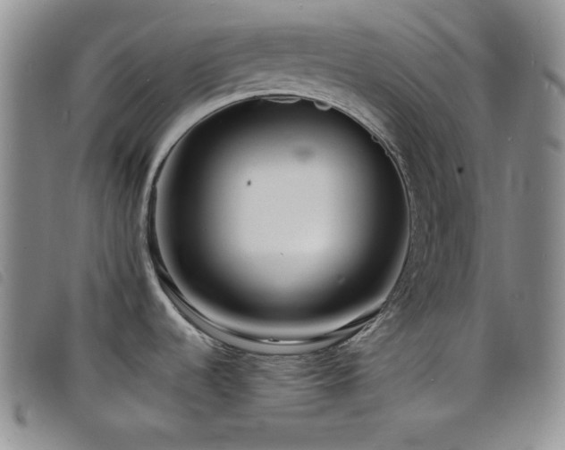 X0000098201536200804241241