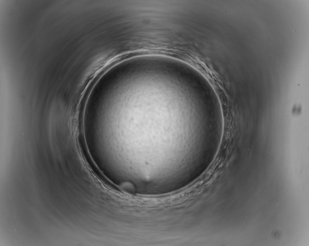 X0000098200002200805011158