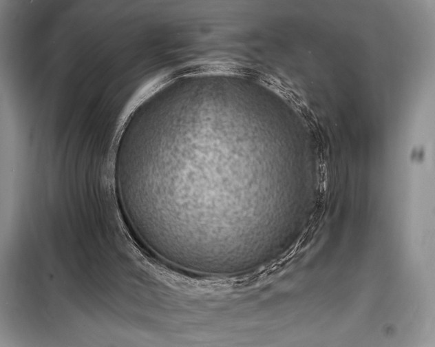 X0000098200004200805011158