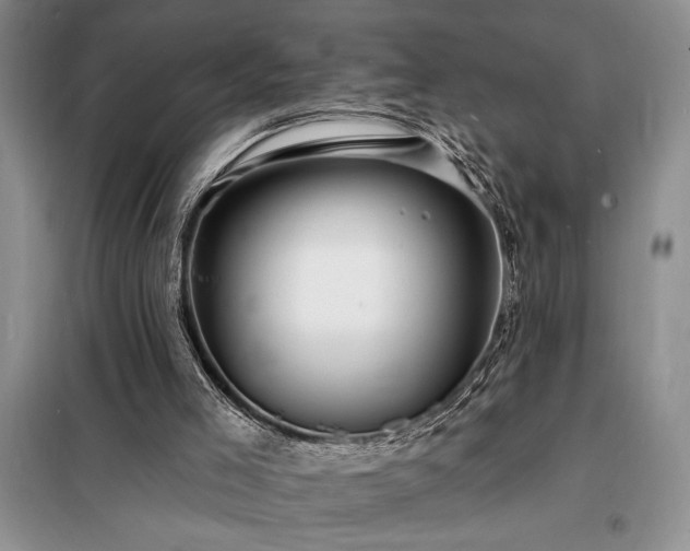 X0000098200005200805011158