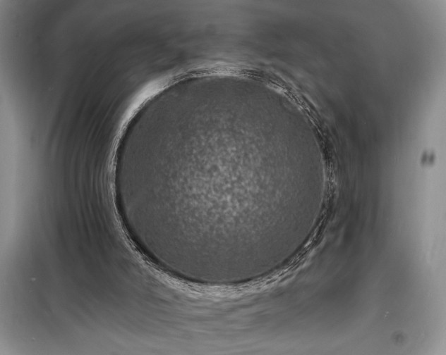 X0000098200006200805011158
