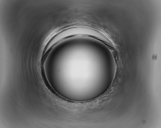 X0000098200007200805011158