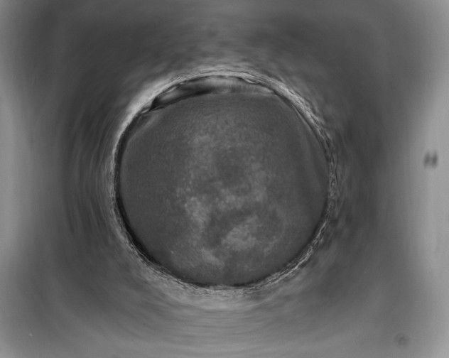 X0000098200008200805011158