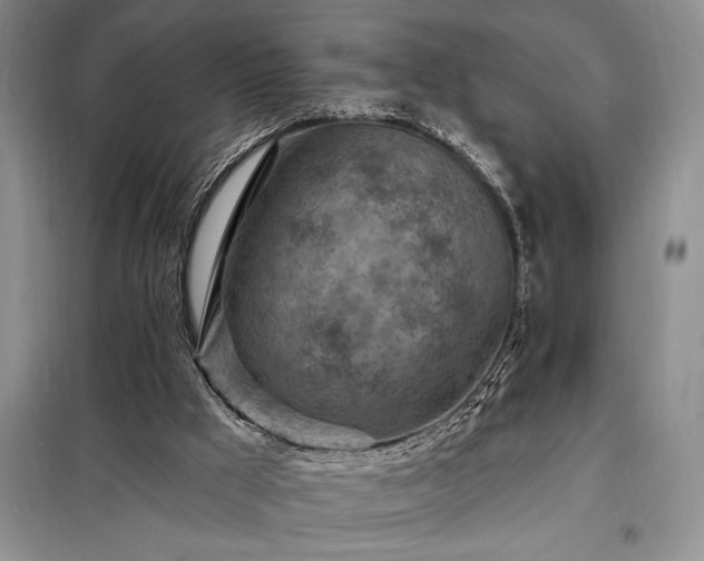 X0000098200009200805011158