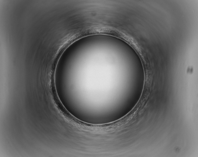 X0000098200010200805011158