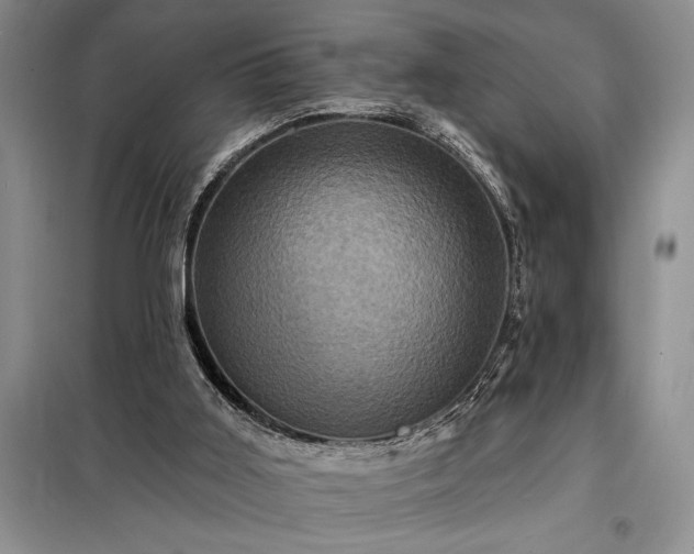 X0000098200011200805011158