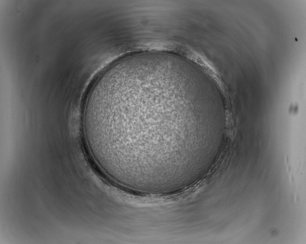 X0000098200012200805011158