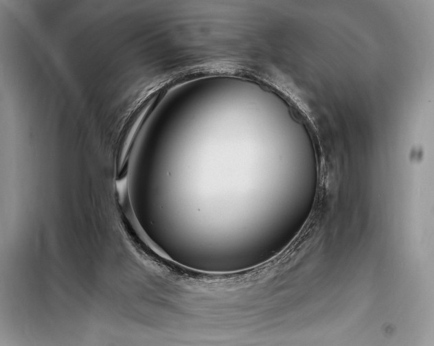 X0000098200013200805011158