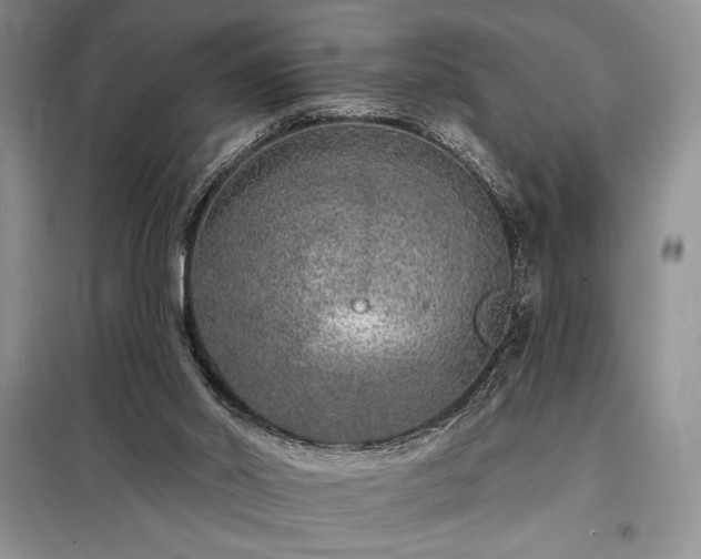 X0000098200014200805011158