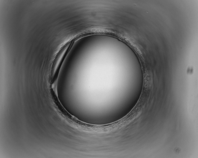 X0000098200015200805011158