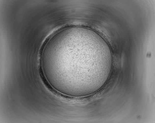 X0000098200016200805011158