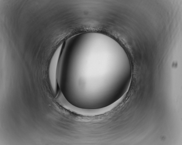 X0000098200017200805011157