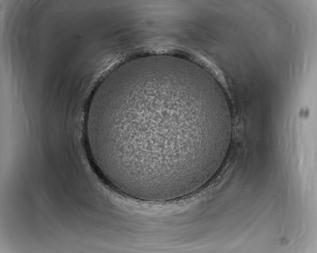 X0000098200018200805011157