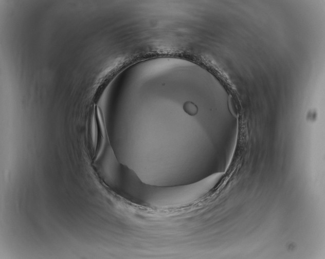 X0000098200019200805011157