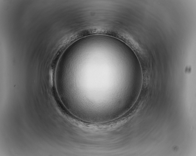 X0000098200022200805011157