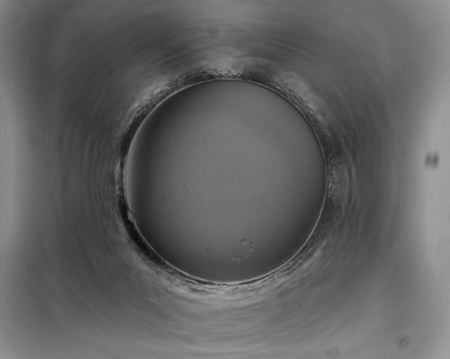X0000098200023200805011157