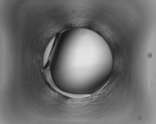X0000098200025200805011157