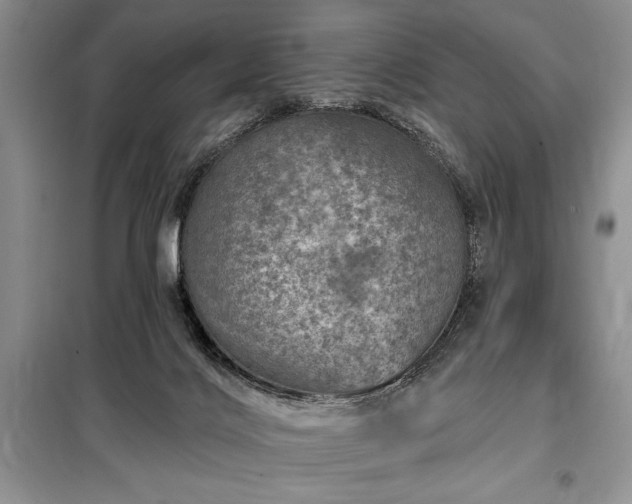X0000098200028200805011157