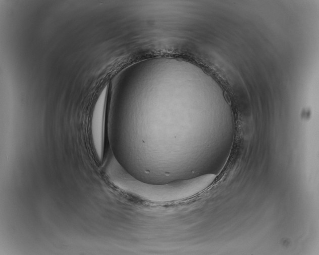 X0000098200029200805011157