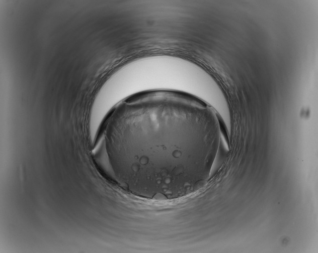 X0000098200031200805011157