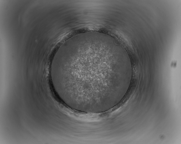 X0000098200032200805011157