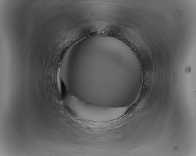 X0000098200039200805011157