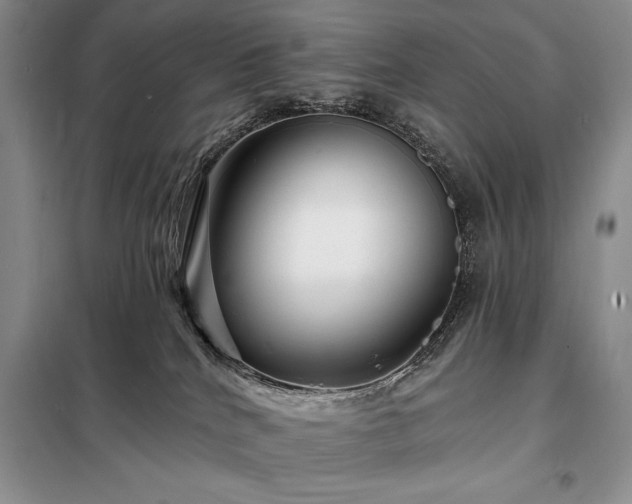 X0000098200040200805011157