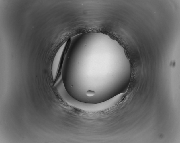 X0000098200041200805011157