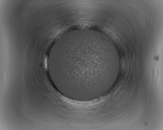 X0000098200042200805011157