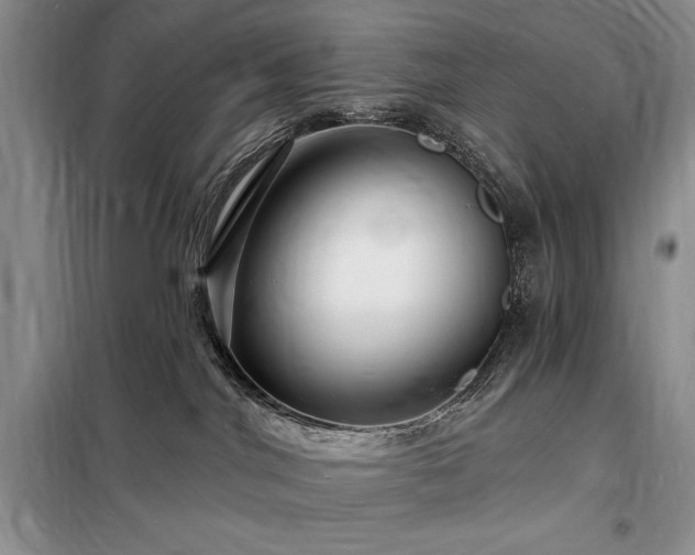 X0000098200044200805011157